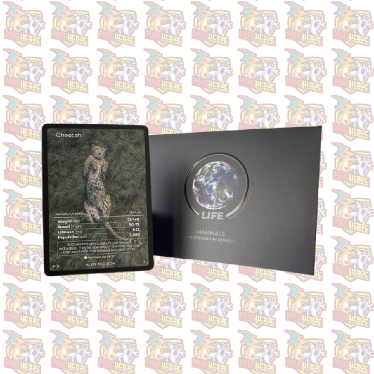 Cheetah Photography Card Life TCG Seald