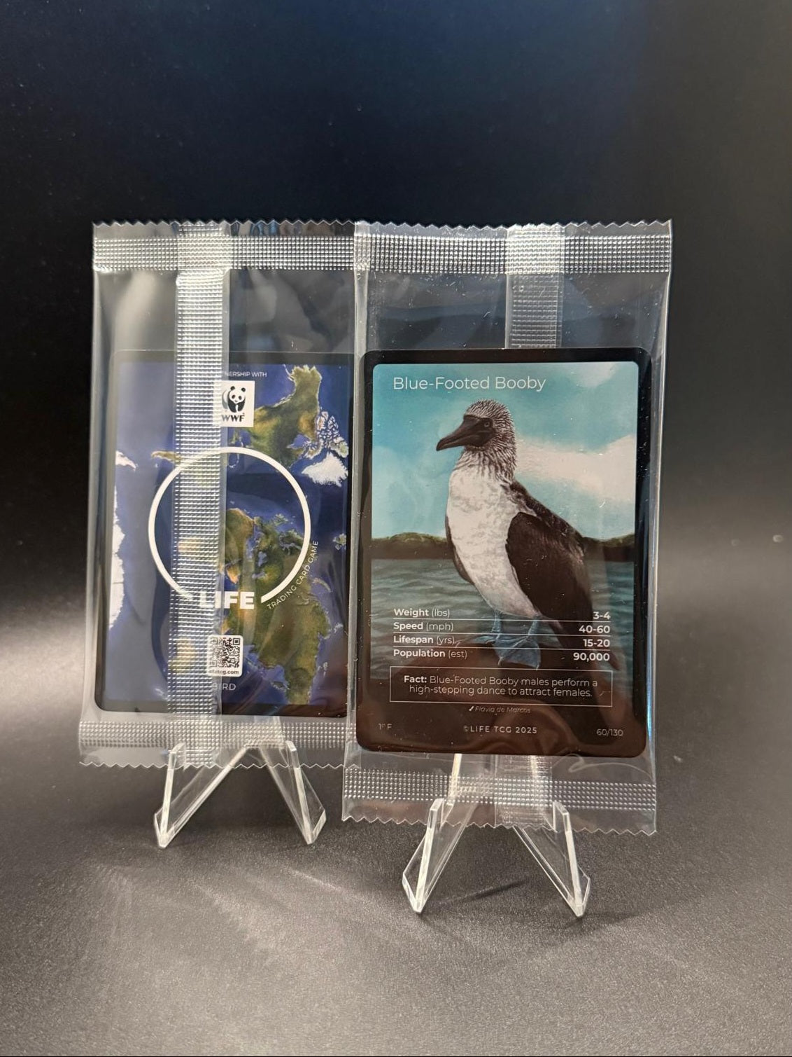 Blue-Footed Booby WWF Stamp Life TCG 60/130