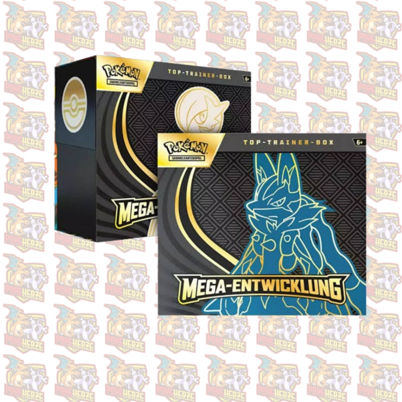 Mega-Entwicklung Top-Trainer-Box (DE)