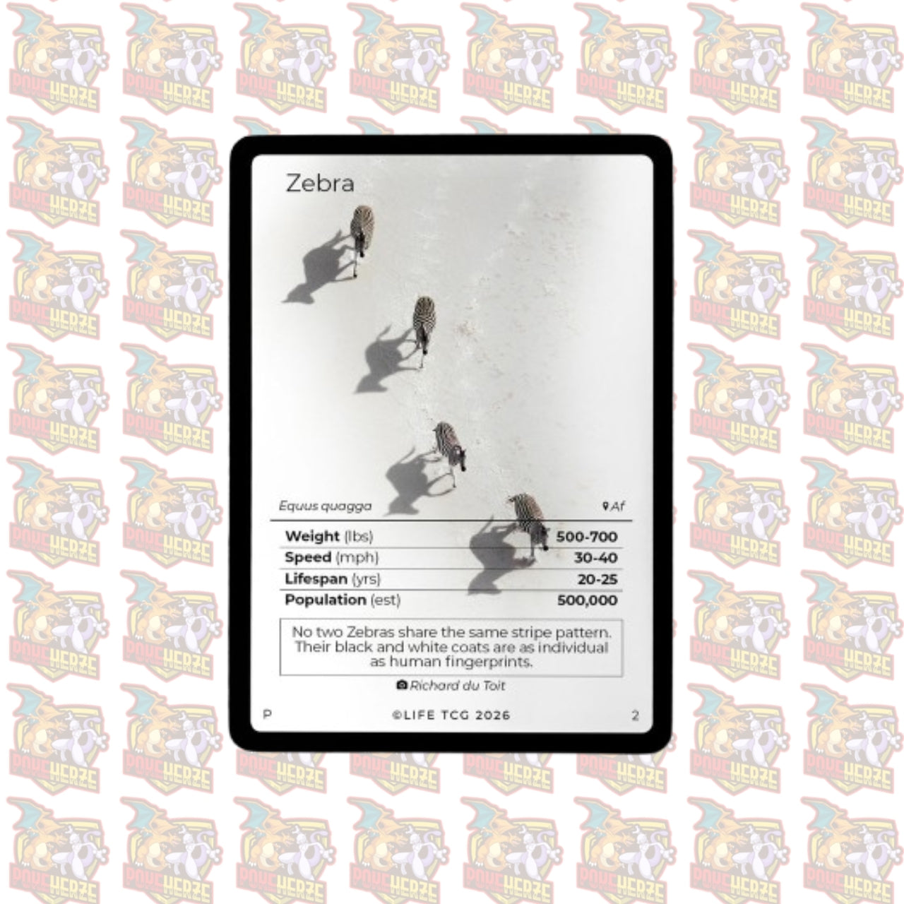 Zebra Photography Card Life TCG Sealed