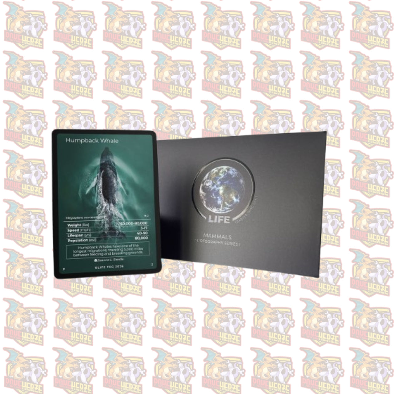 Humpback Whale Photography Card Life TCG Sealed